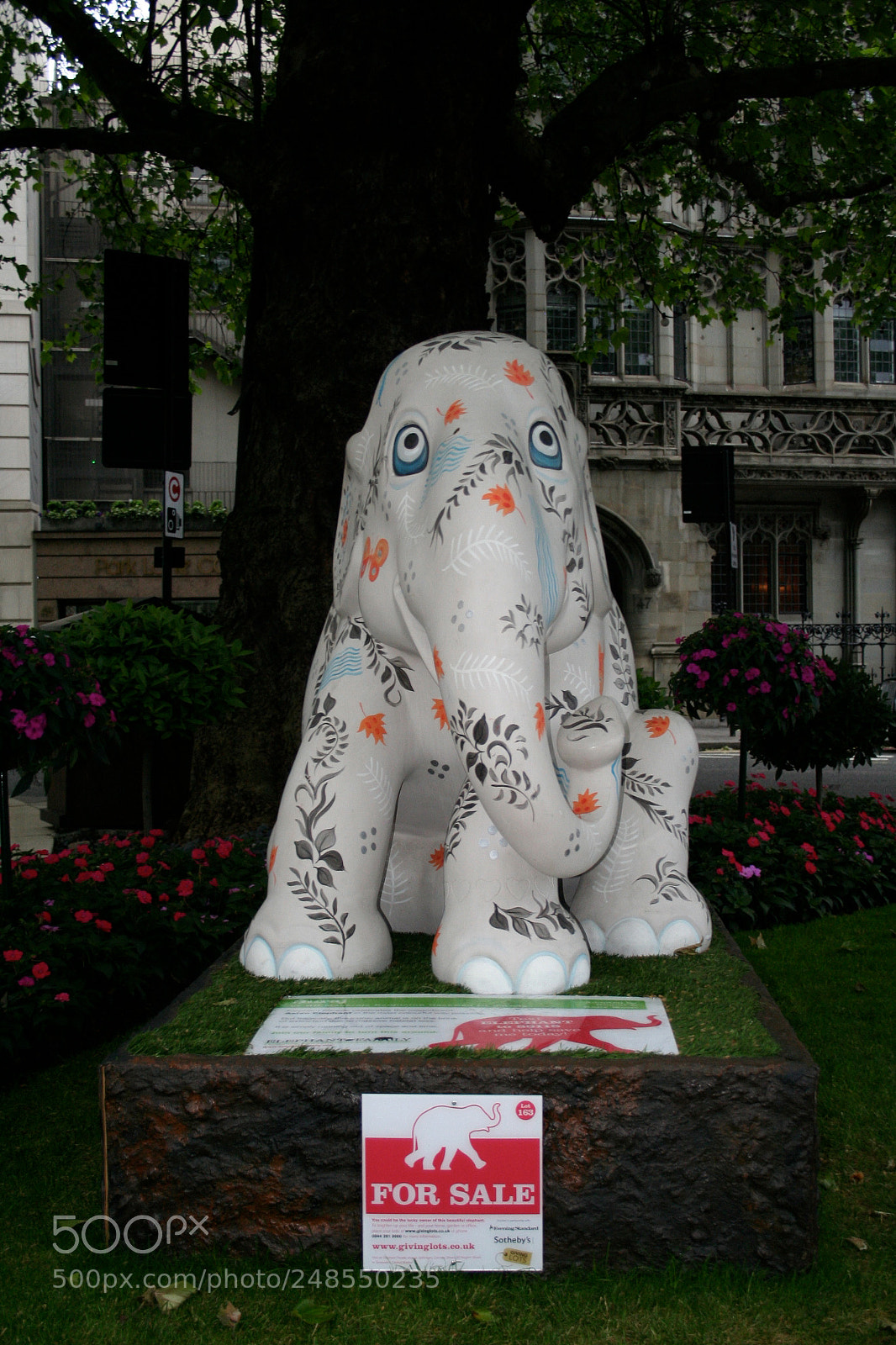 Canon EOS 350D (EOS Digital Rebel XT / EOS Kiss Digital N) sample photo. Elephant parade o photography