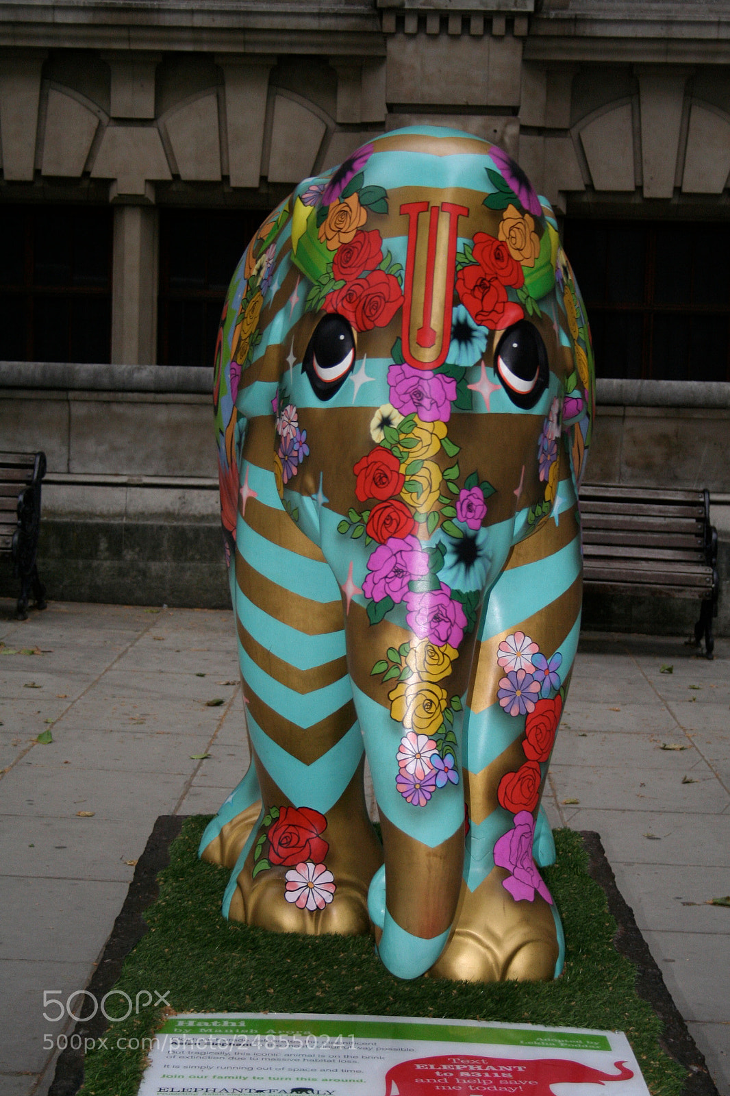 Canon EOS 350D (EOS Digital Rebel XT / EOS Kiss Digital N) sample photo. Elephant parade o photography
