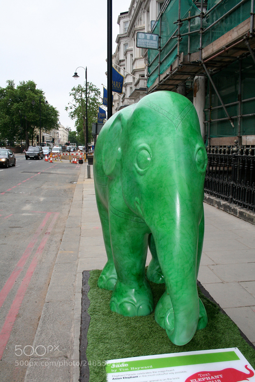 Canon EOS 350D (EOS Digital Rebel XT / EOS Kiss Digital N) sample photo. Elephant parade o photography