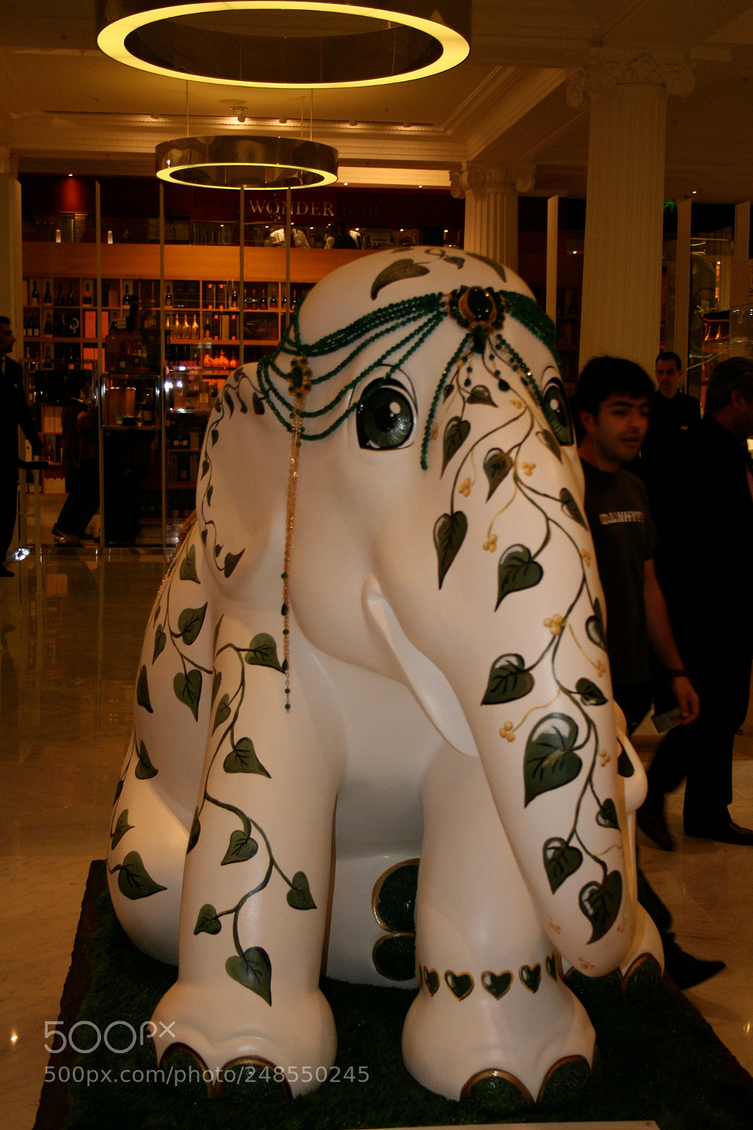 Canon EOS 350D (EOS Digital Rebel XT / EOS Kiss Digital N) sample photo. Elephant parade o photography