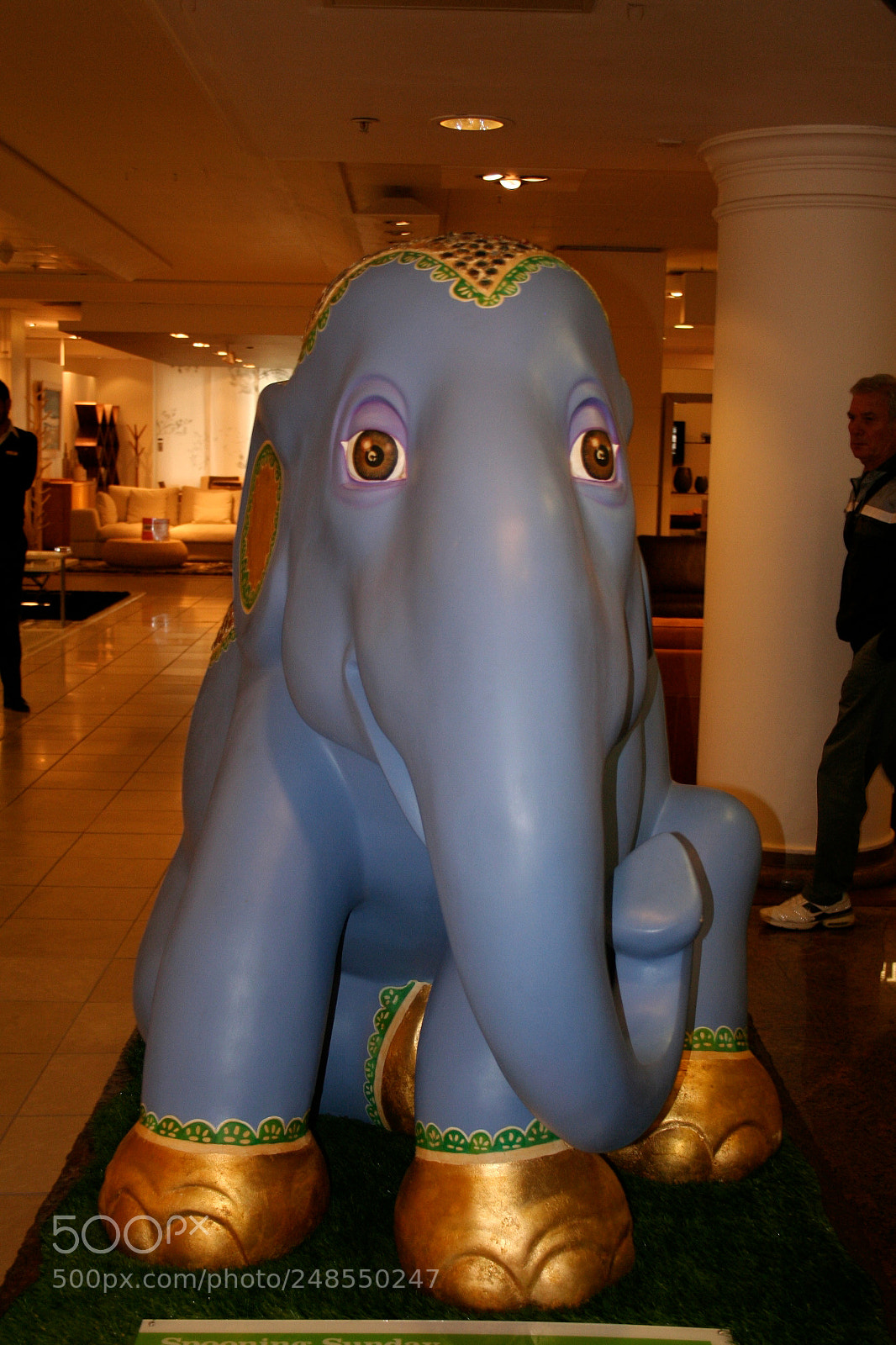 Canon EOS 350D (EOS Digital Rebel XT / EOS Kiss Digital N) sample photo. Elephant parade o photography