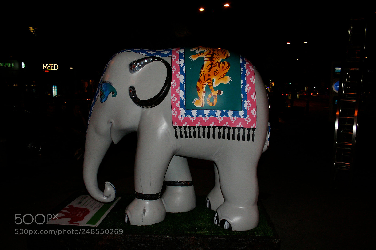 Canon EOS 350D (EOS Digital Rebel XT / EOS Kiss Digital N) sample photo. Elephant parade o photography
