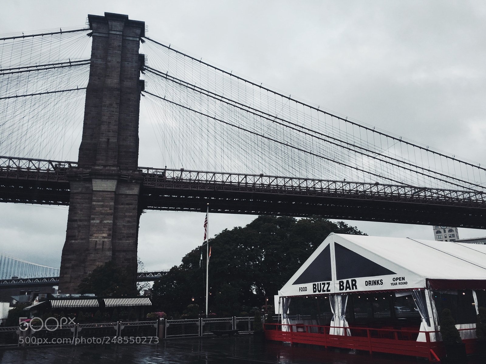 Apple iPhone 6 sample photo. Brooklyn, new york. photography