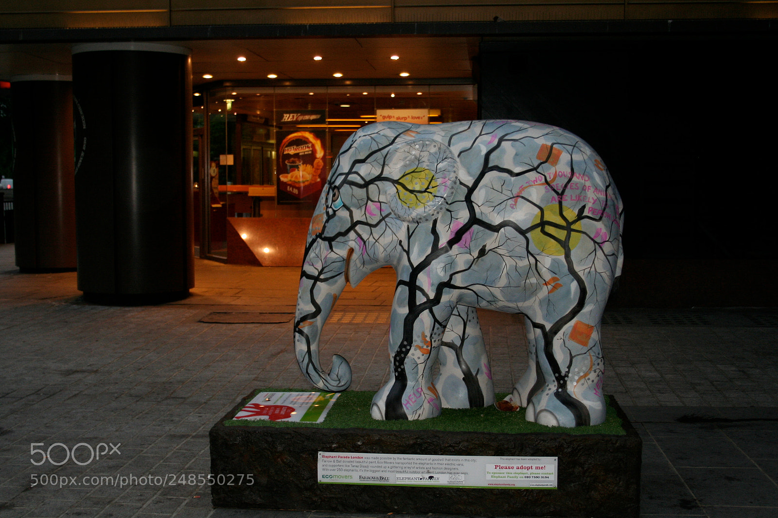 Canon EOS 350D (EOS Digital Rebel XT / EOS Kiss Digital N) sample photo. Elephant parade o photography