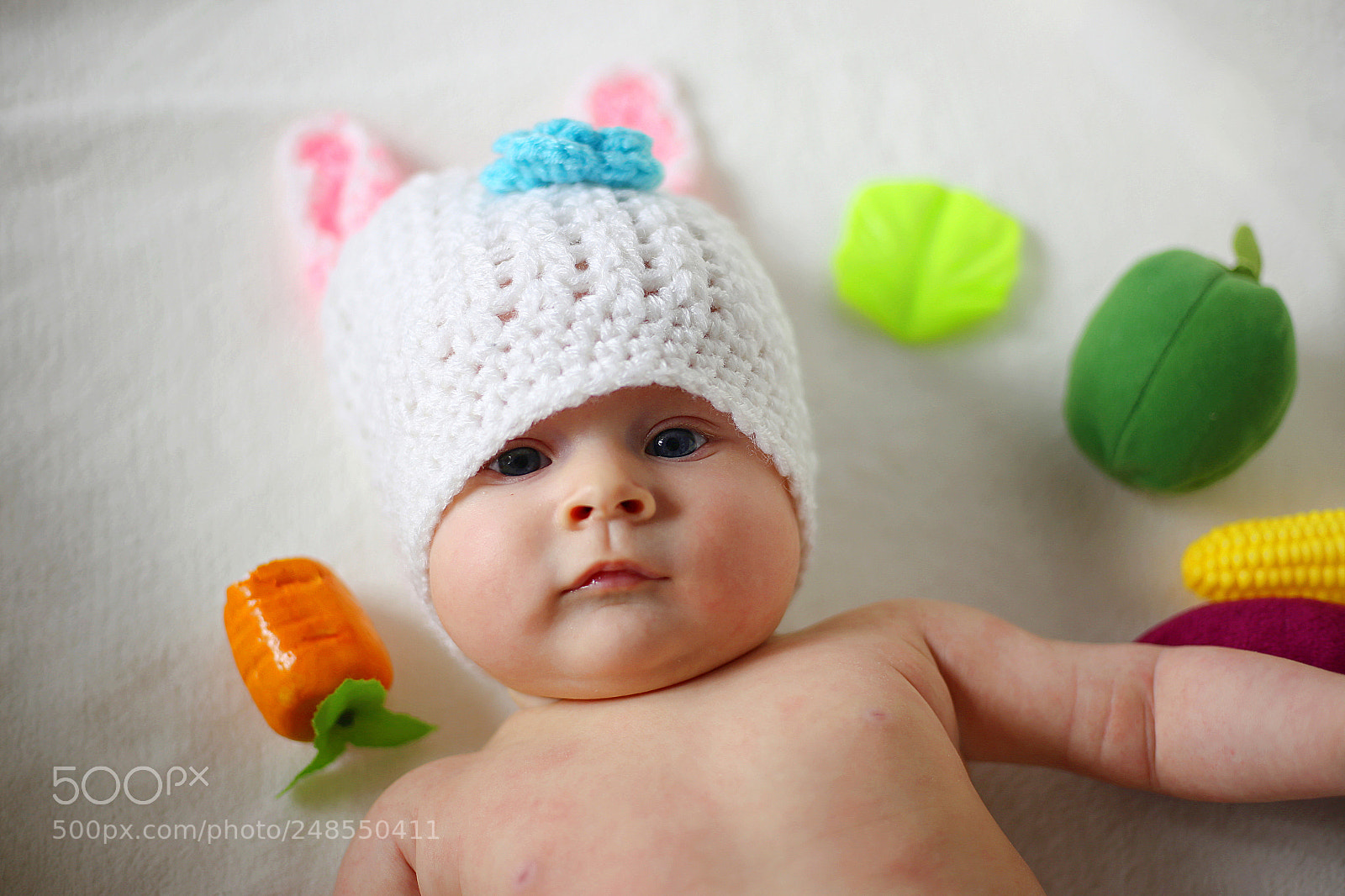 Canon EOS 6D + Canon EF 50mm F1.8 STM sample photo. Gimp ostre photography