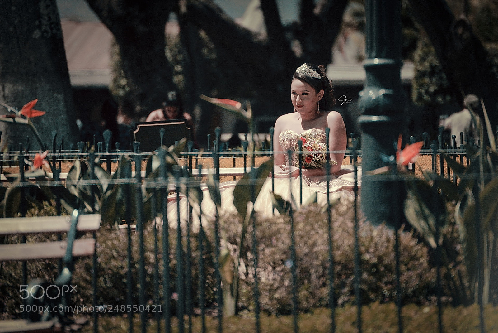 Nikon D800E sample photo. Sitting in the park photography