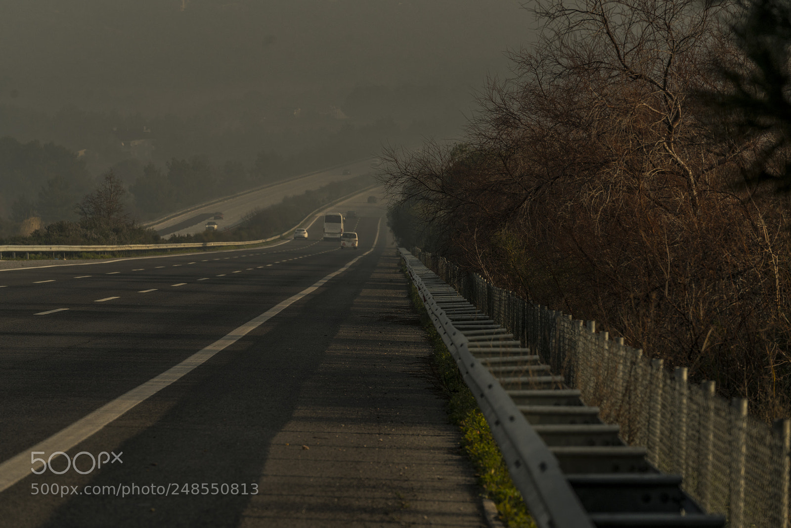 Sony a7R II sample photo. Yoldayiz photography