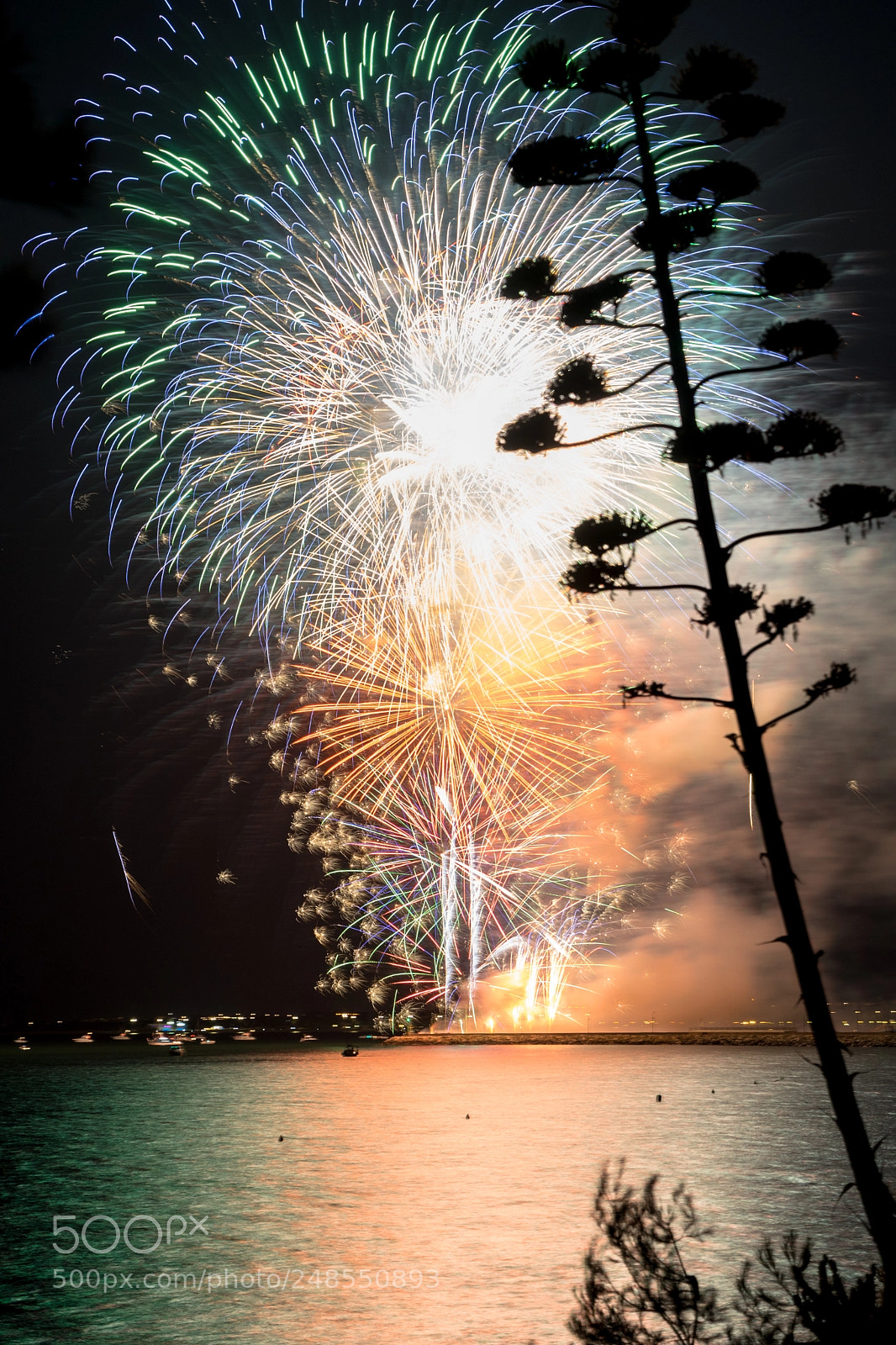 Sony a7 II sample photo. Fiestas del carmen photography