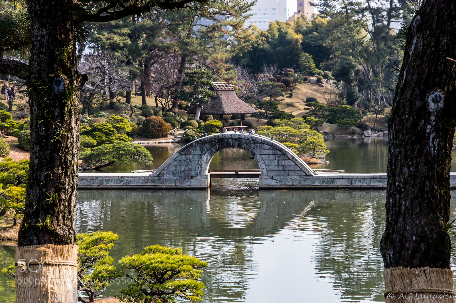 Canon EOS 80D sample photo. Bridges for peace photography
