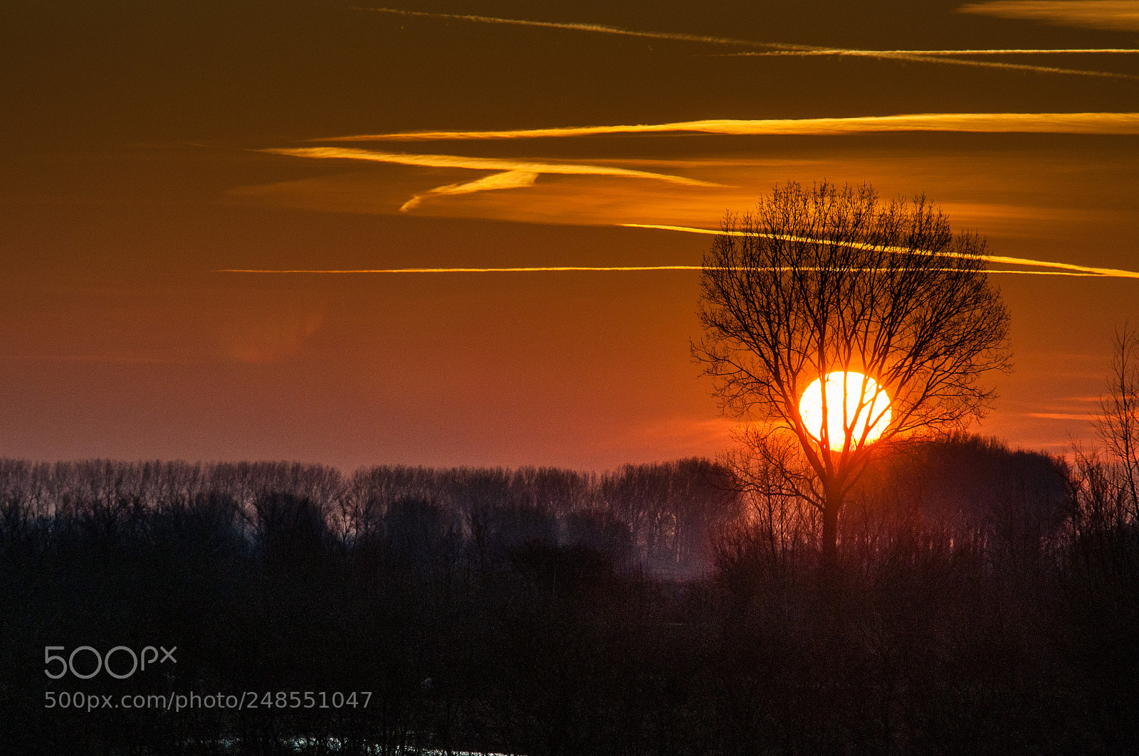 Nikon D90 sample photo. Sunrise over zeeuws vlaanderen photography