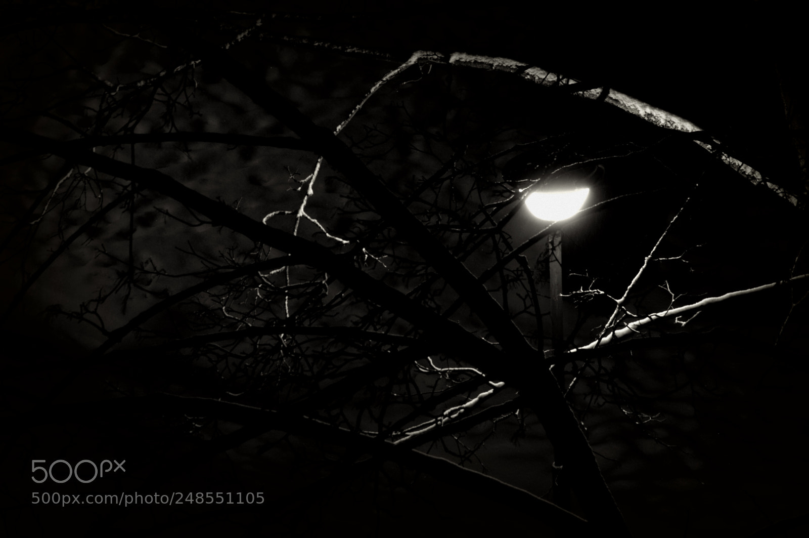 Pentax K20D sample photo. Igp photography