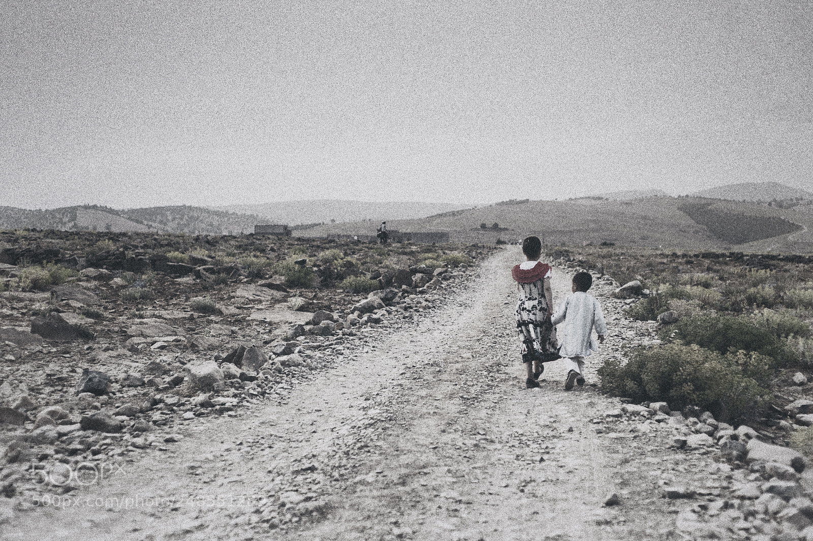 Nikon D700 sample photo. Childhood photography