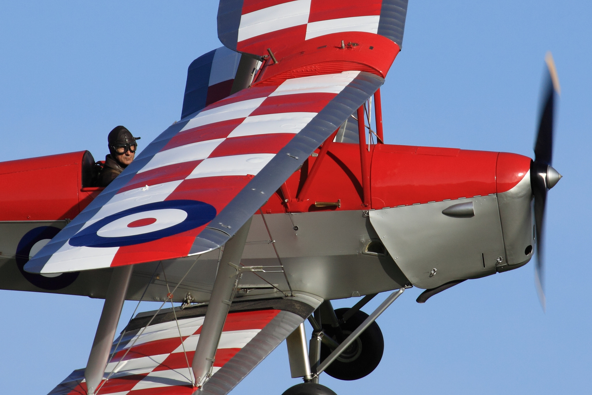 Canon EF 100-400mm F4.5-5.6L IS USM sample photo. Dh tiger moth photography