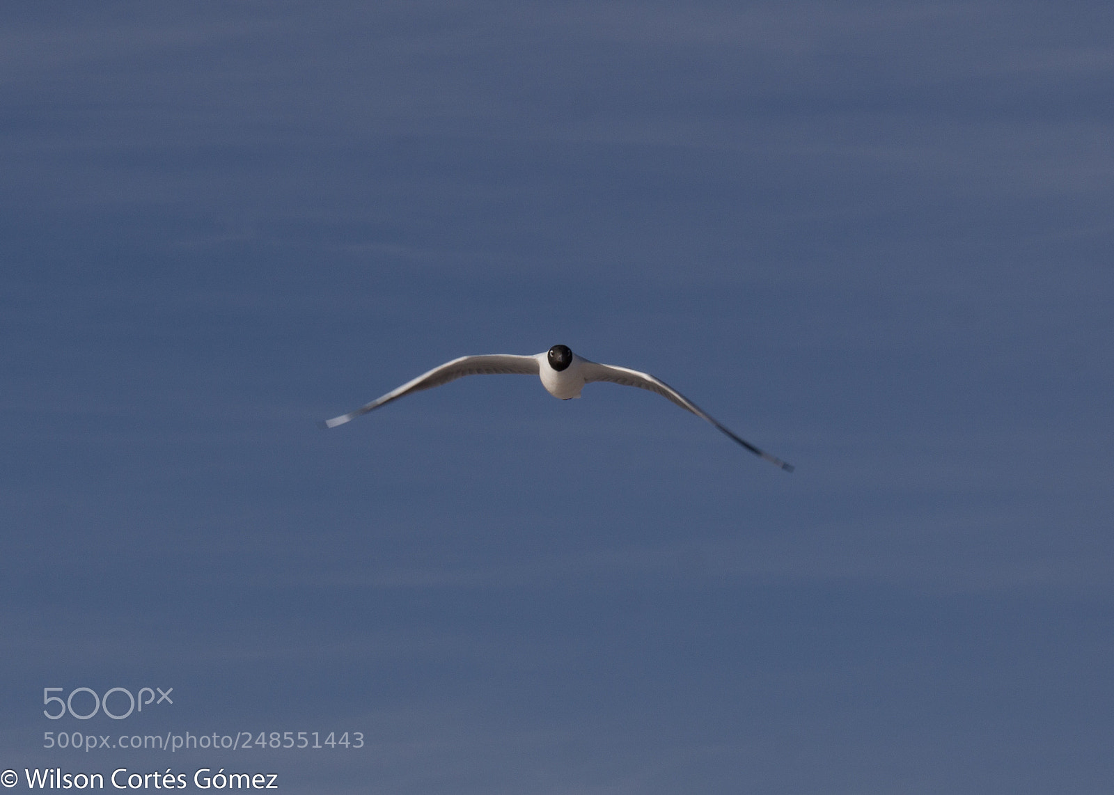 Sony a6000 sample photo. Vuelo 2 photography