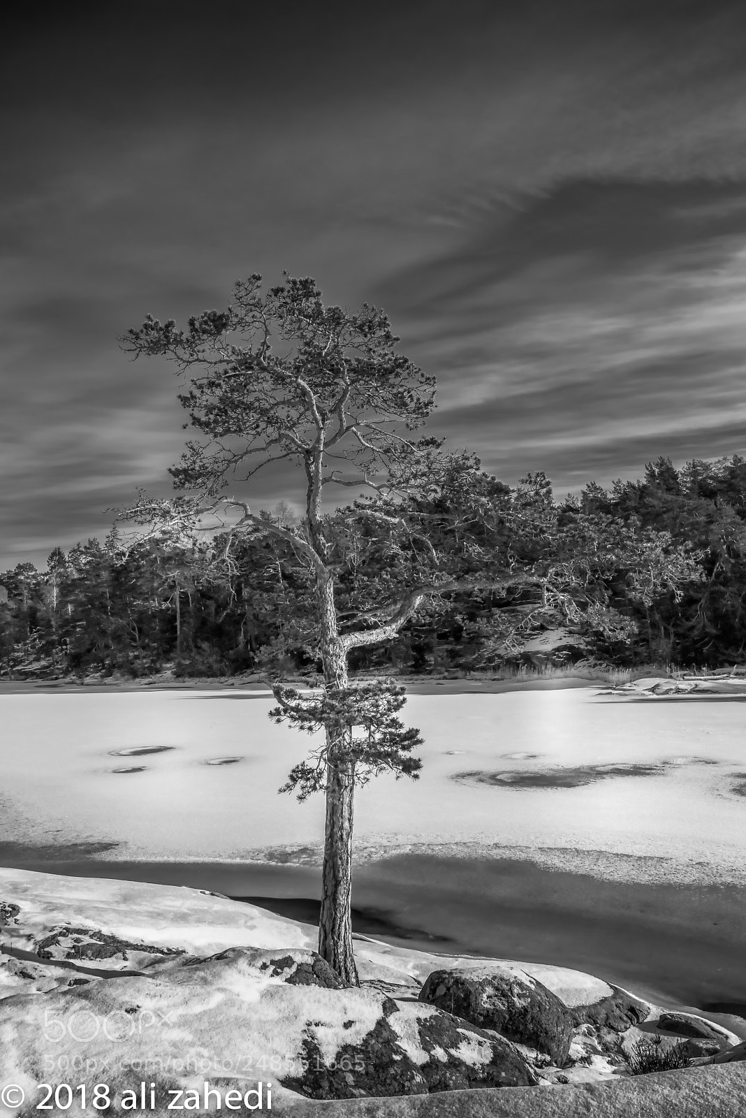 Nikon D810 sample photo. B&w:w photography