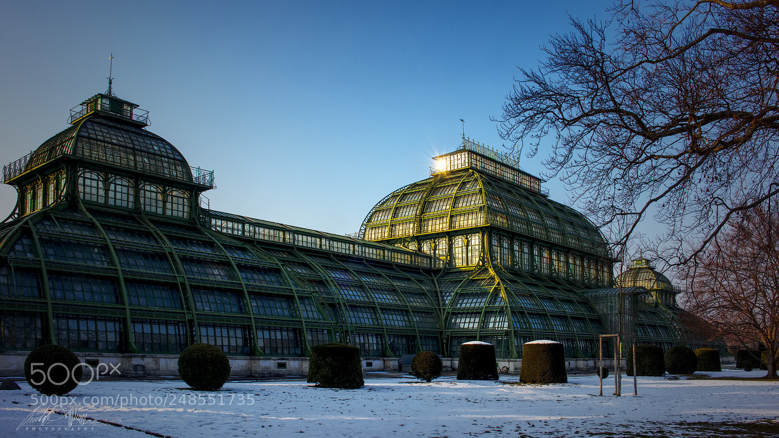 Canon EOS M6 sample photo. Palmenhaus schönbrunn photography