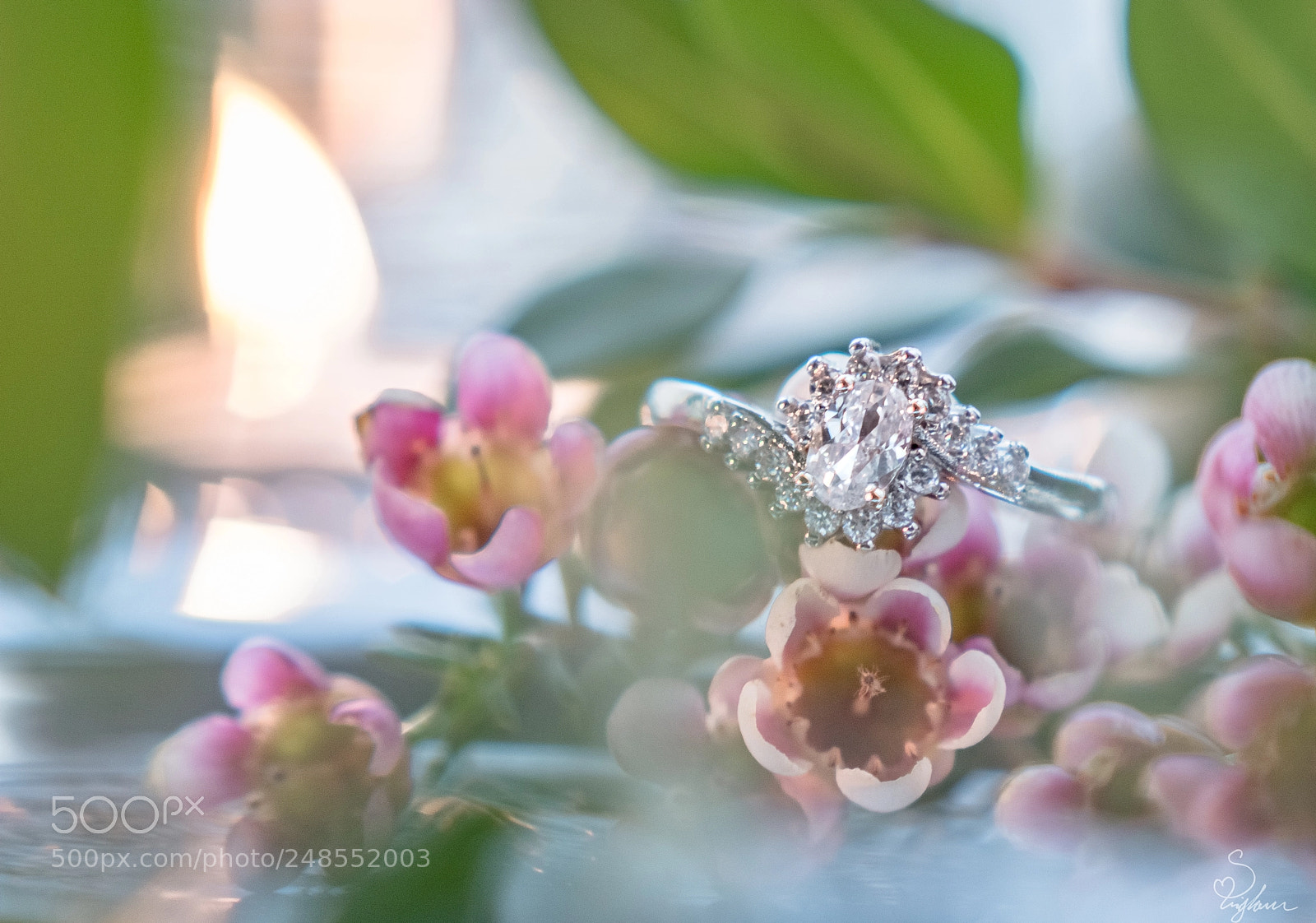 Nikon D5200 sample photo. Petals & diamonds photography