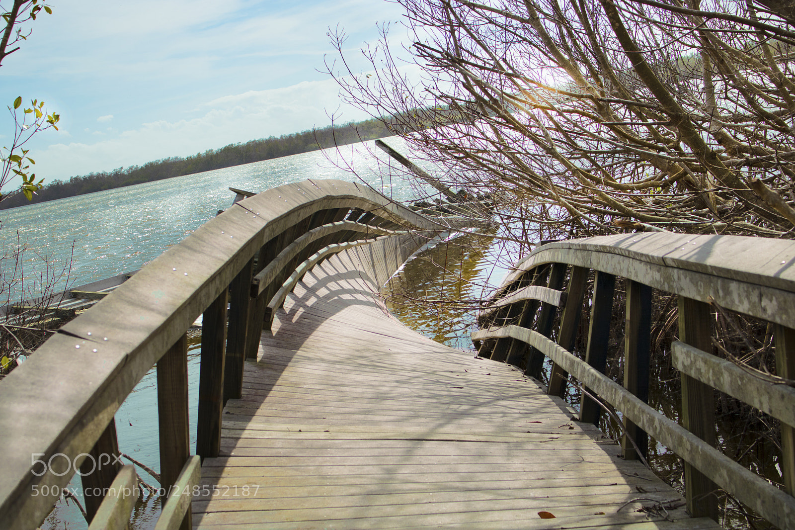 Canon EOS 750D (EOS Rebel T6i / EOS Kiss X8i) sample photo. Bridge to terabithia photography