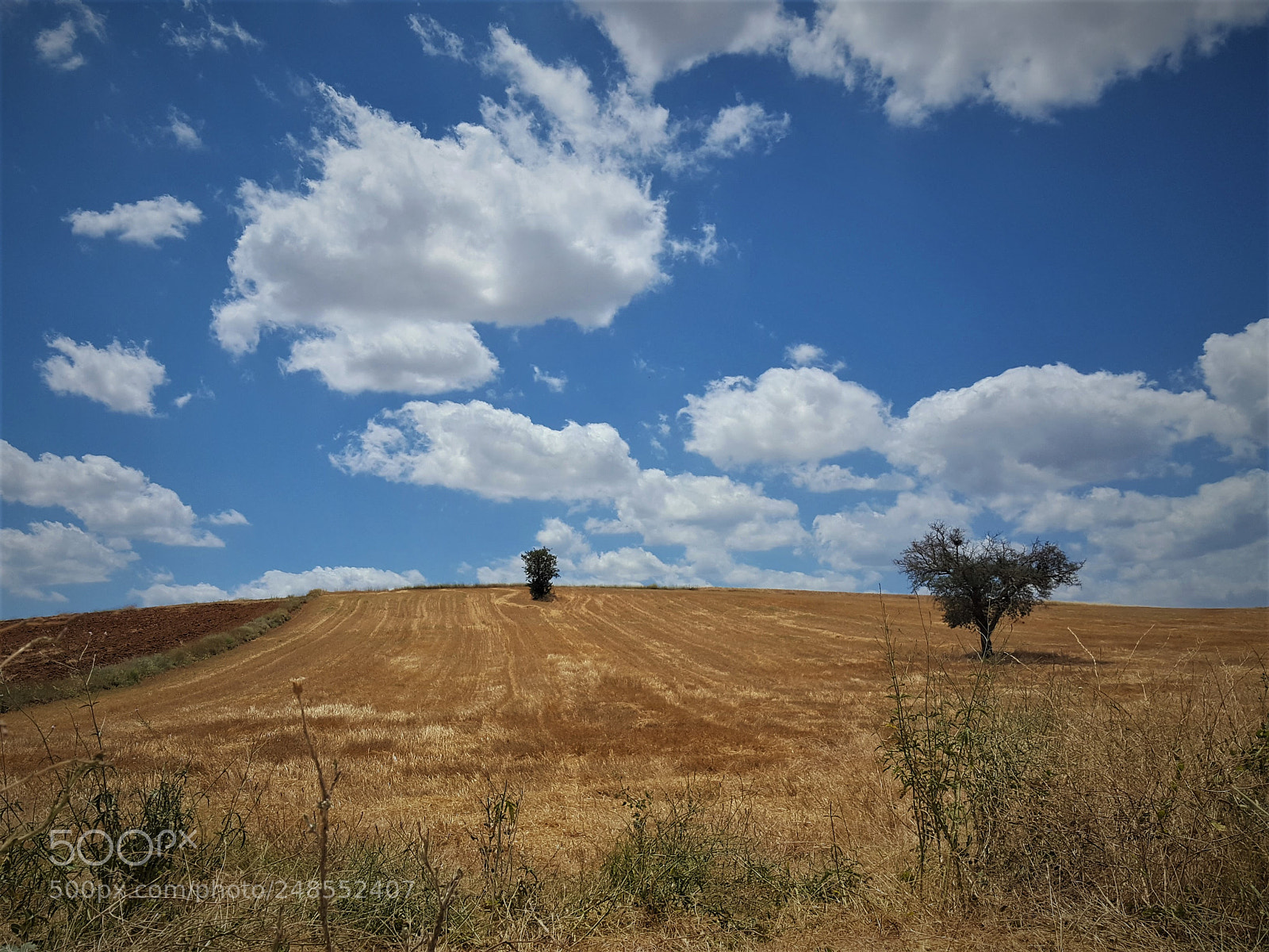 Samsung Galaxy S6 sample photo. Konya ovasi photography