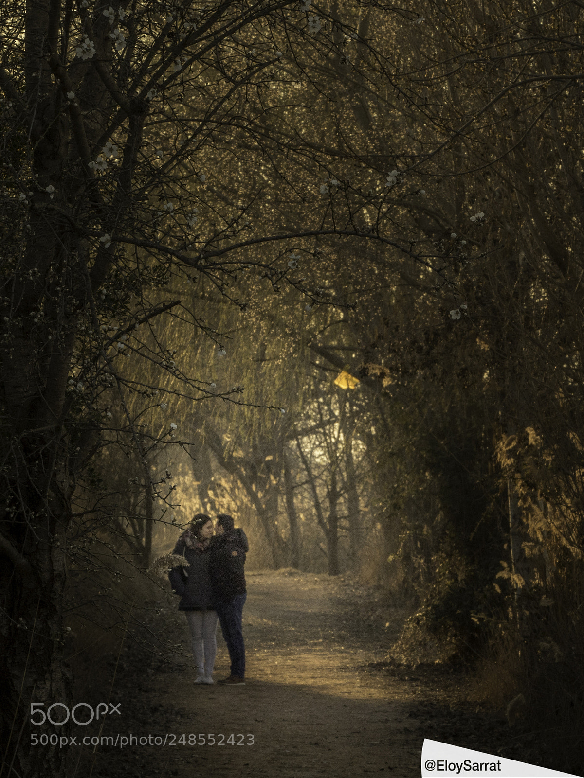 Olympus OM-D E-M5 II sample photo. Love in estany d'ivars photography