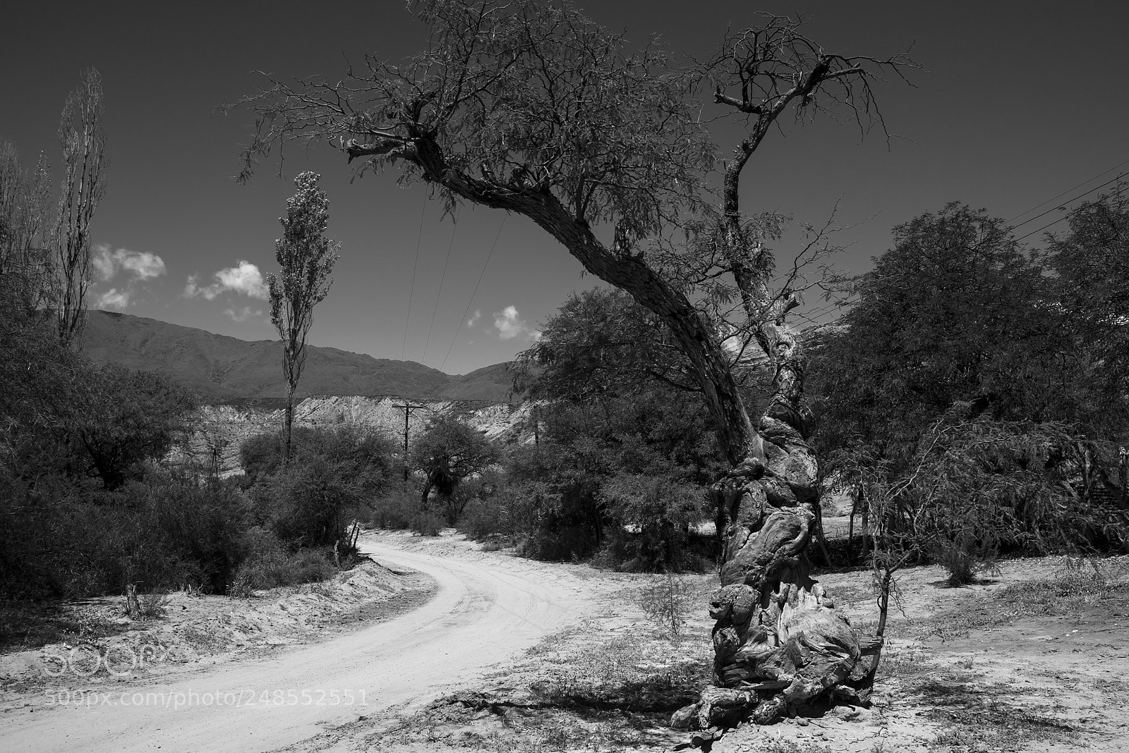 Nikon D810 sample photo. Viejos son los caminos... photography