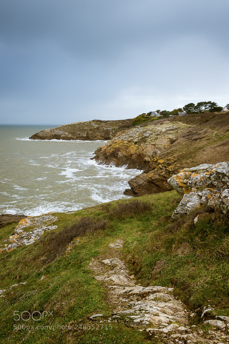 Nikon D810 sample photo. Before the rain photography
