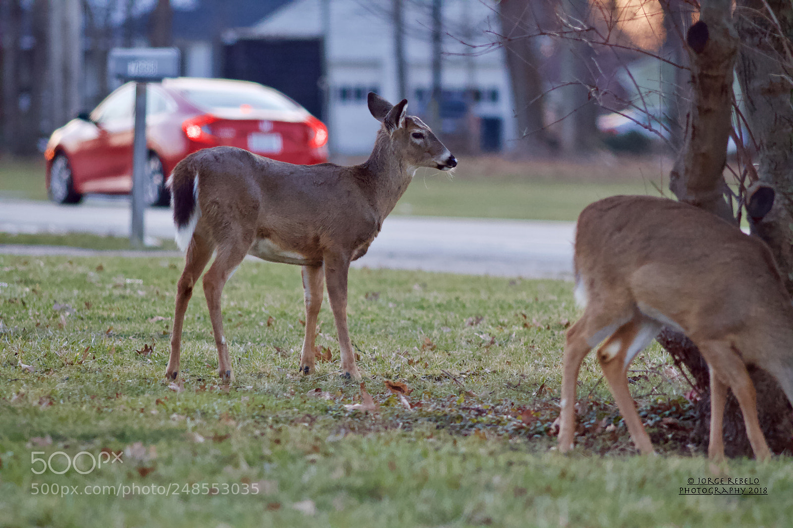 Canon EOS 7D sample photo. Fullsizeoutput ed photography