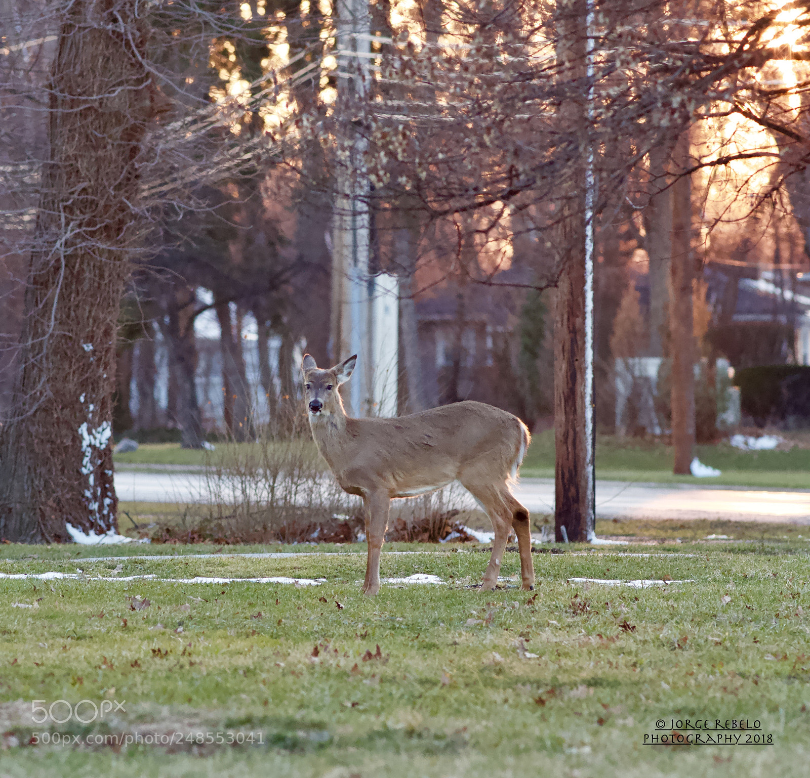 Canon EOS 7D sample photo. Fullsizeoutput e photography