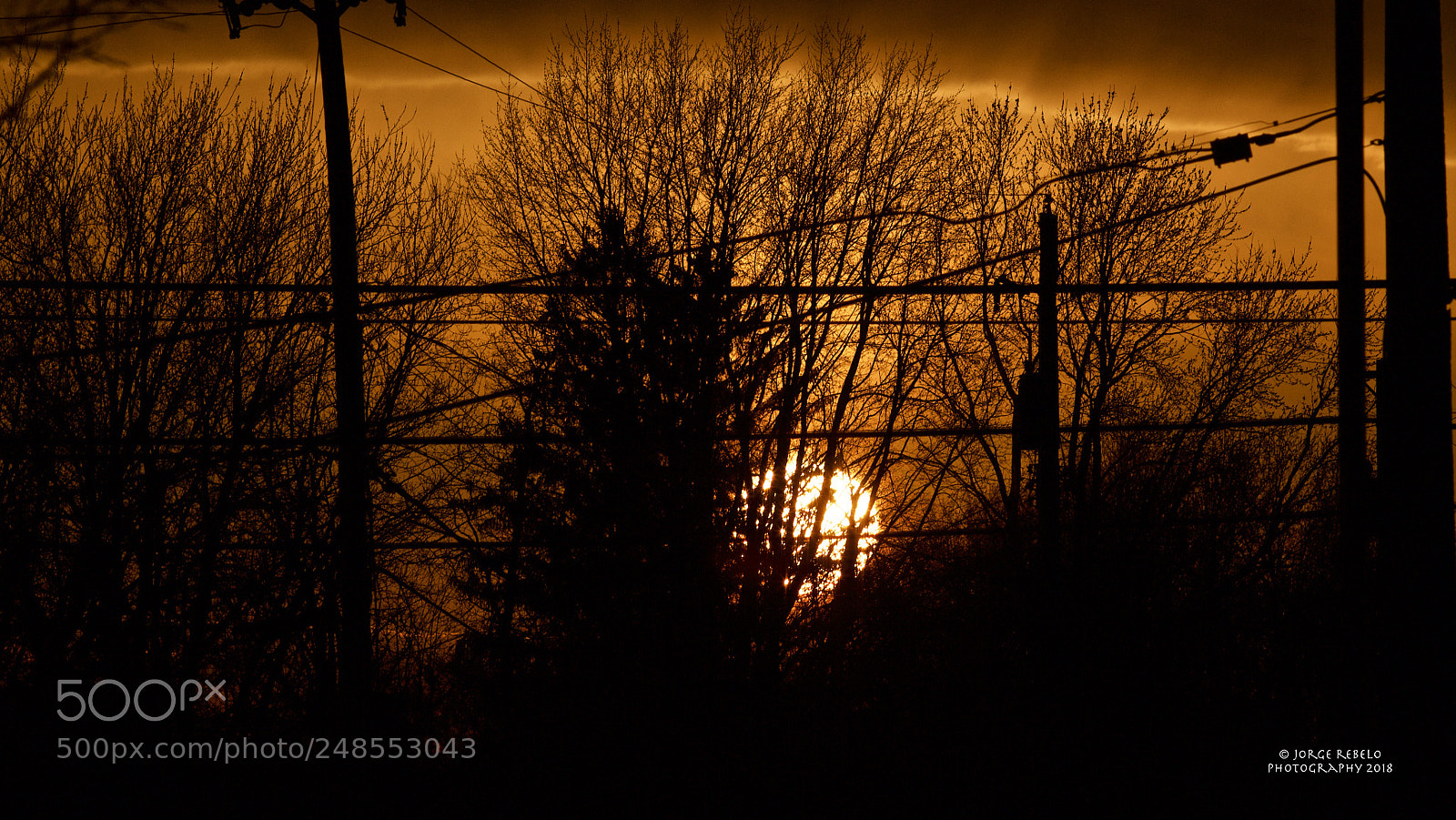 Canon EOS 7D sample photo. Fullsizeoutput photography