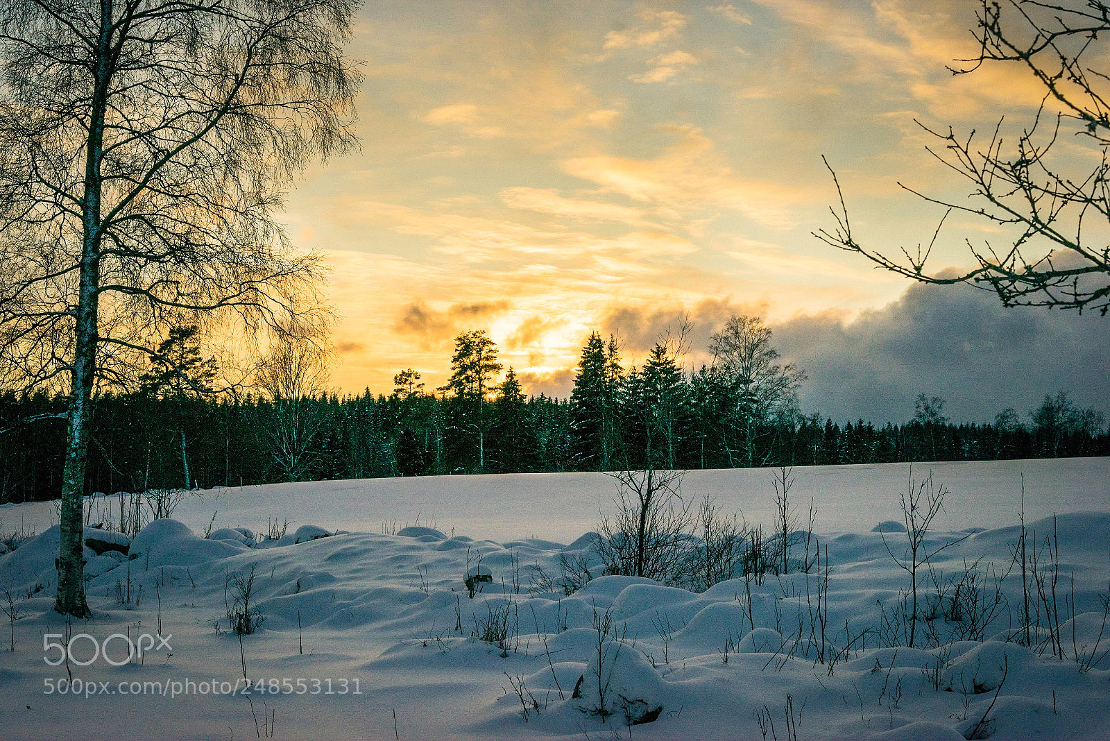 Sony a7R sample photo. Vinterskrud photography