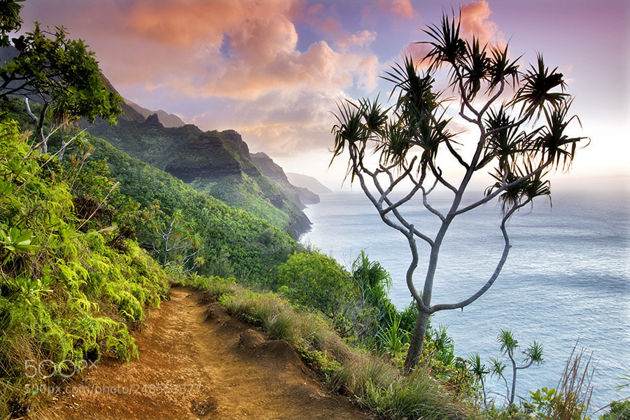 Canon EOS-1Ds Mark III sample photo. Napali coast trail at photography