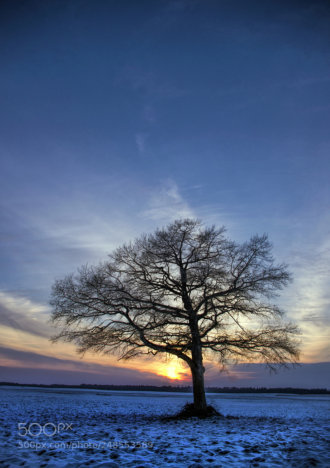 Pentax K-5 sample photo. Alone in evening photography
