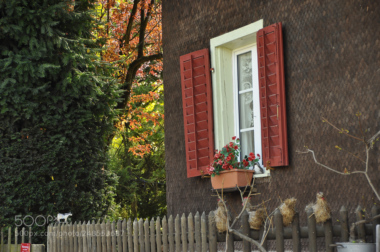Nikon D90 sample photo. Spring, switzerland. photography