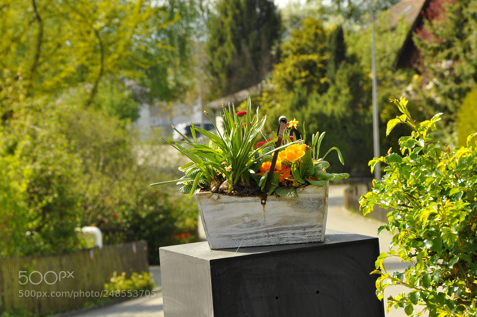 Nikon D90 sample photo. Spring, switzerland. photography