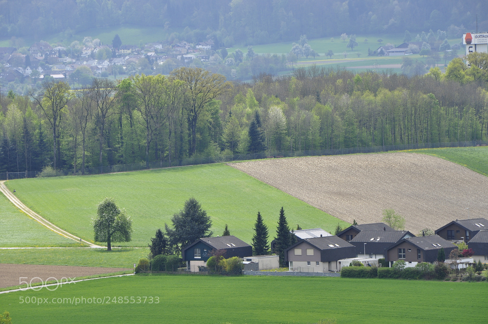 Nikon D90 sample photo. Spring, switzerland. photography