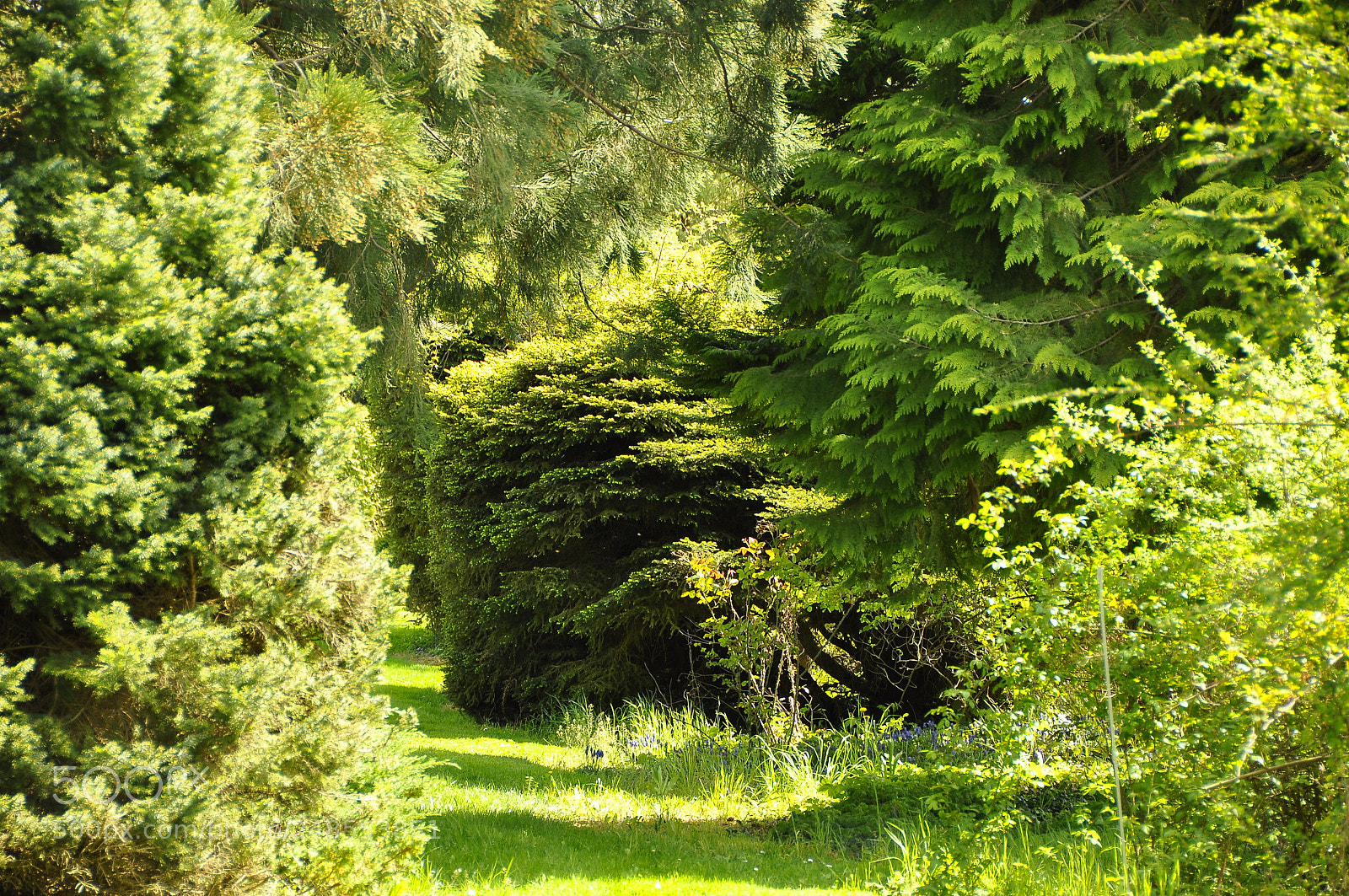 Nikon D90 sample photo. Spring, switzerland. photography