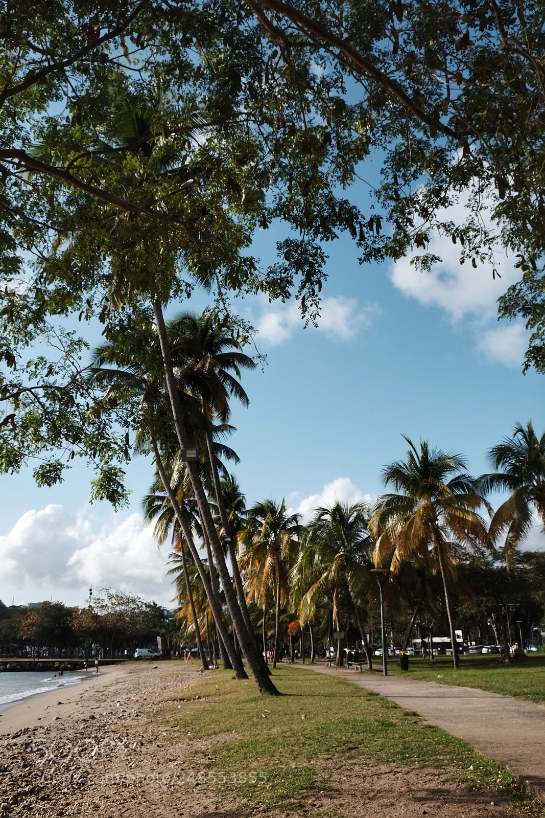 Fujifilm X-T10 sample photo. Martinique photography