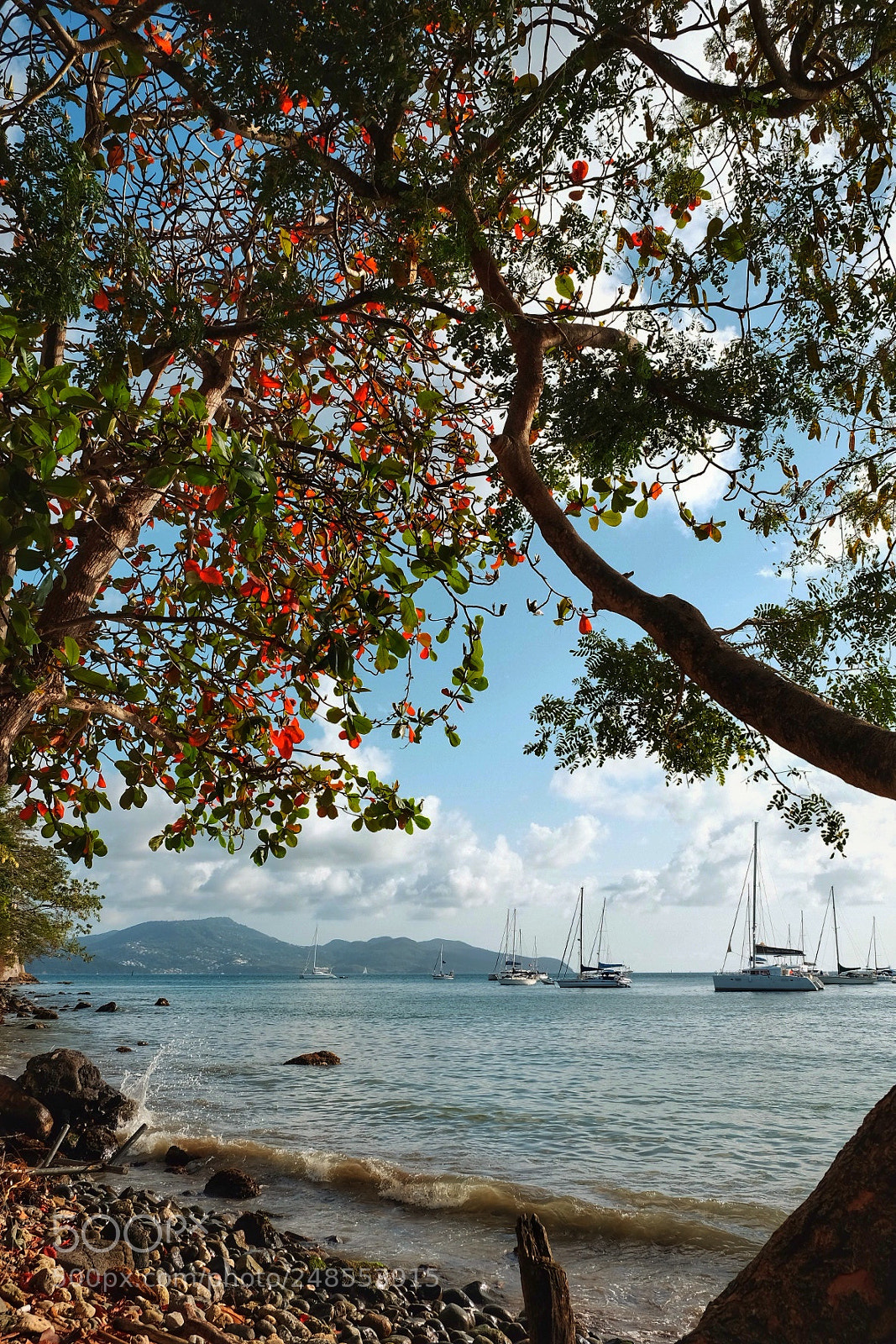 Fujifilm X-T10 sample photo. Fort de france,martinique photography