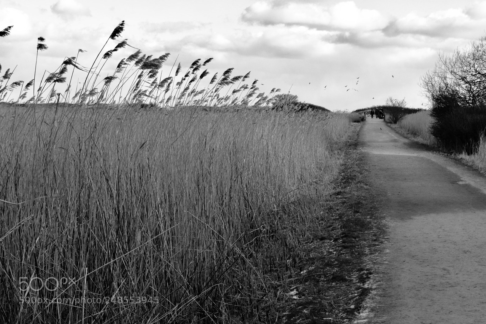Canon EOS 77D (EOS 9000D / EOS 770D) sample photo. Untitled photography