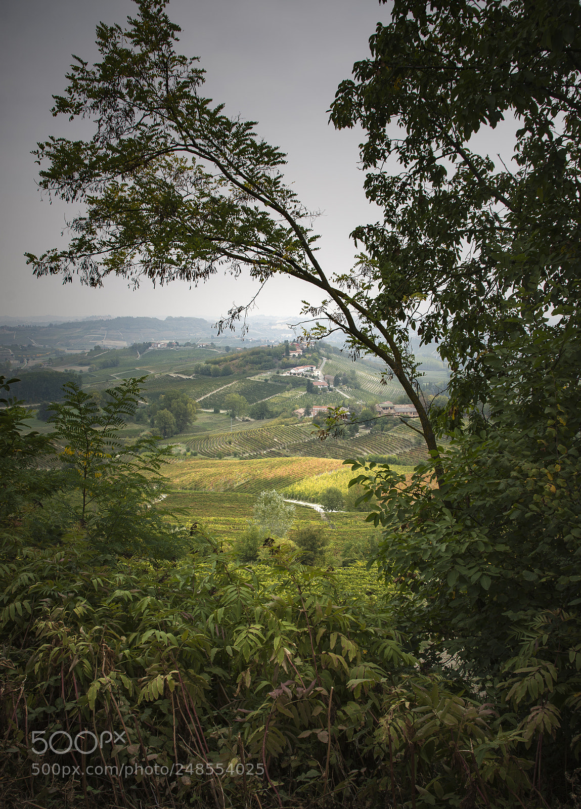Nikon D7200 sample photo. Langhe photography