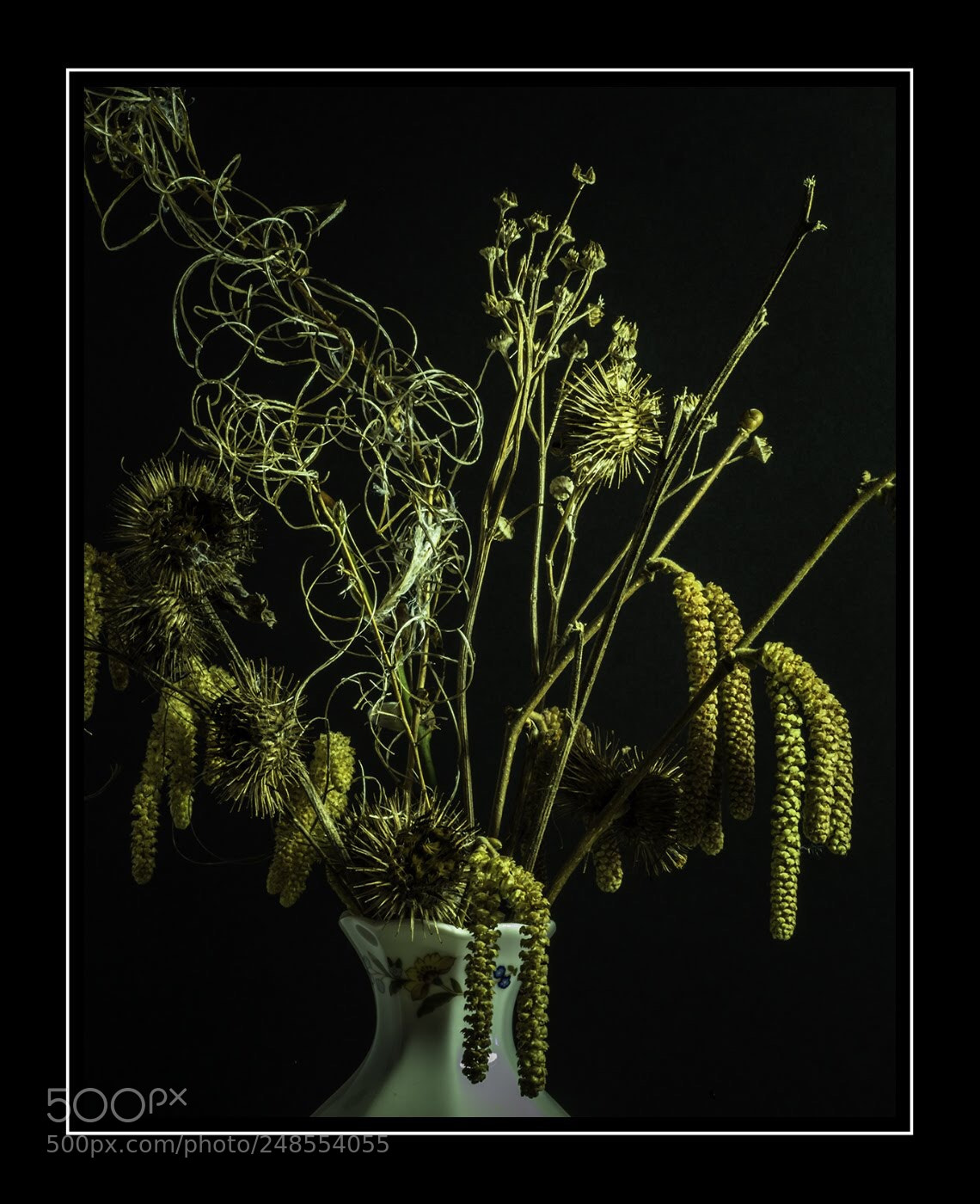 Olympus OM-D E-M5 II sample photo. Lambs tails photography