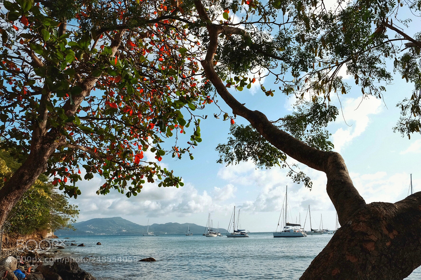 Fujifilm X-T10 sample photo. Fort de france photography