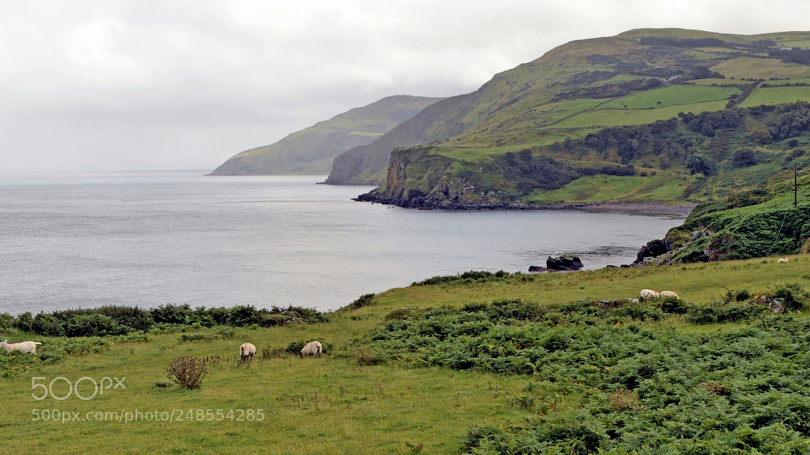 Nikon D700 sample photo. Torr head northern ireland photography