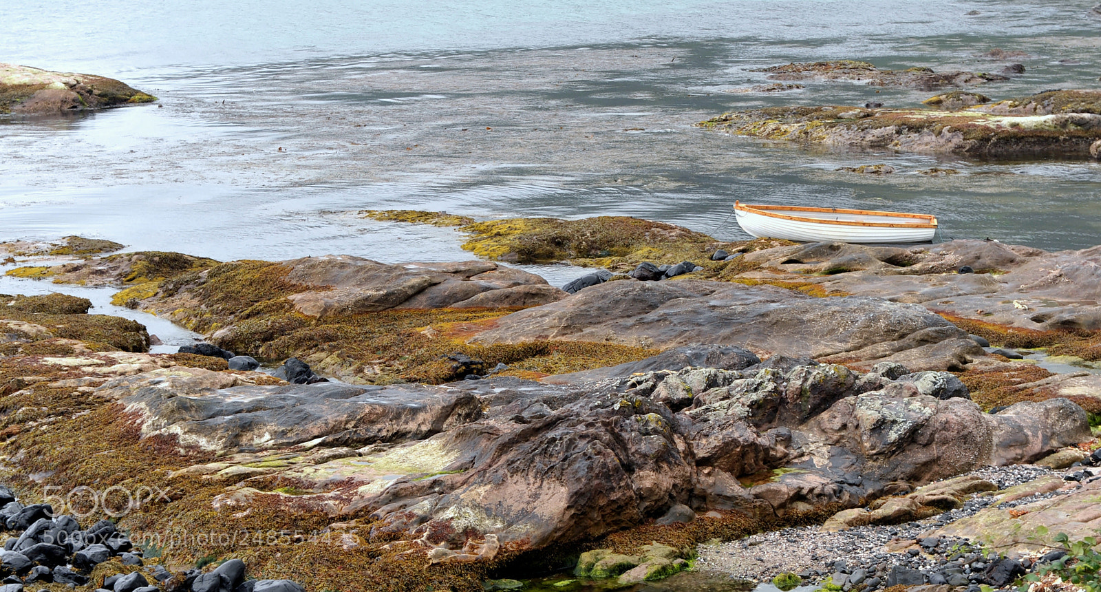 Nikon D700 sample photo. Murlough bay northern ireland photography