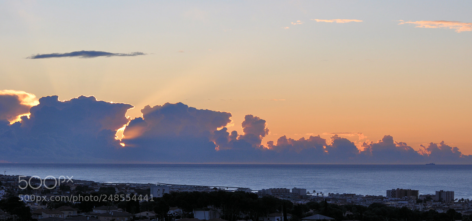Nikon D90 sample photo. Head for the light photography