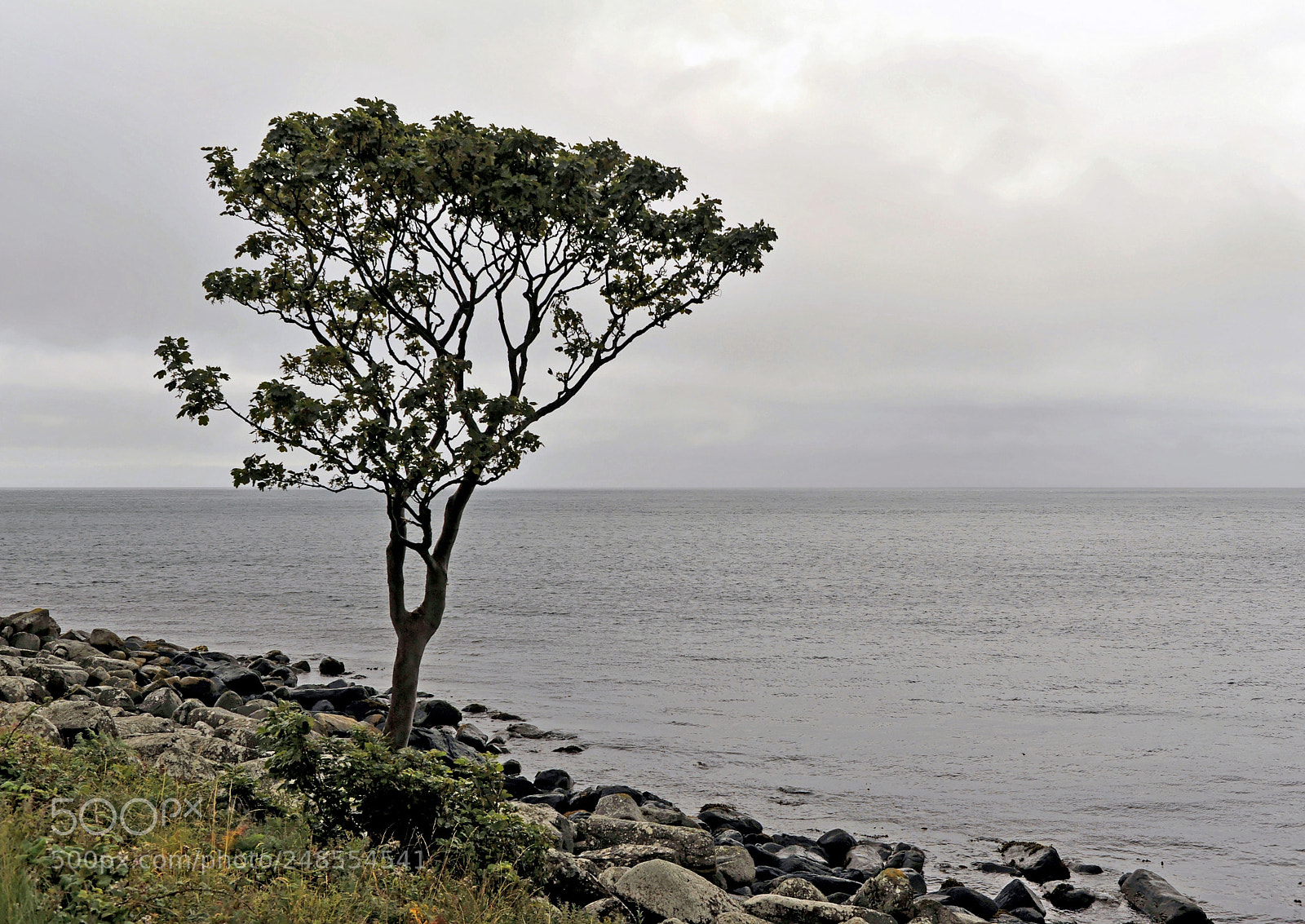 Nikon D700 sample photo. Murlough bay northern ireland photography