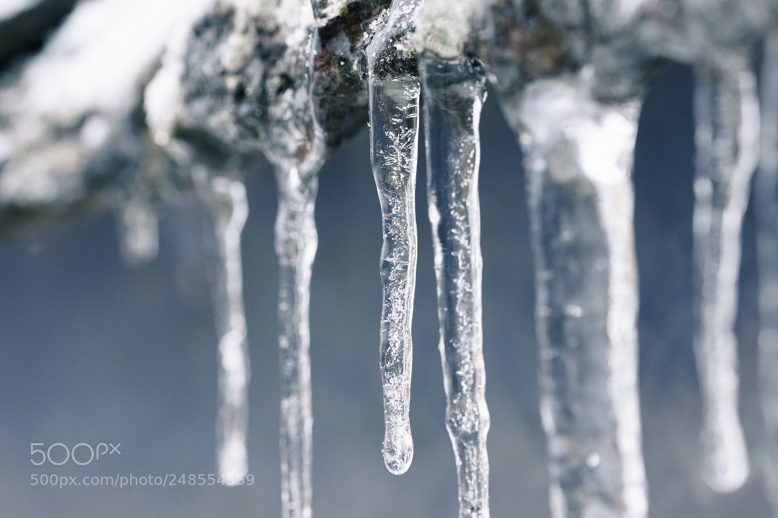 Nikon D7200 sample photo. Ice photography