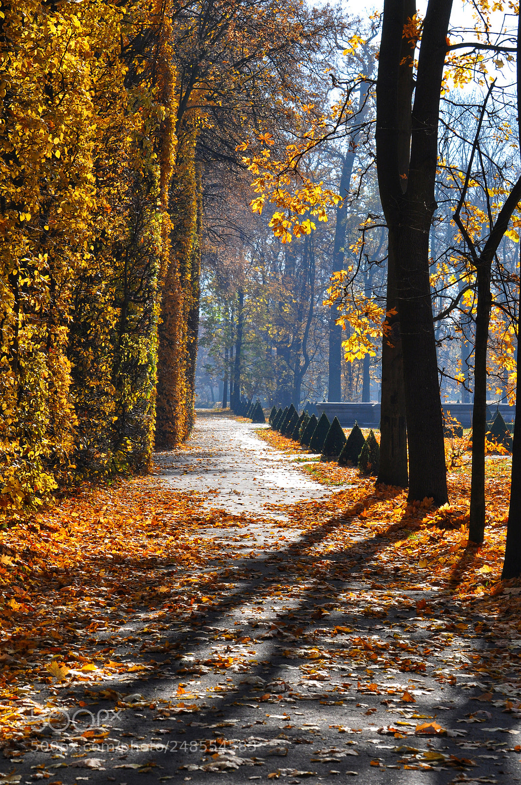 Nikon D90 sample photo. Fall photography