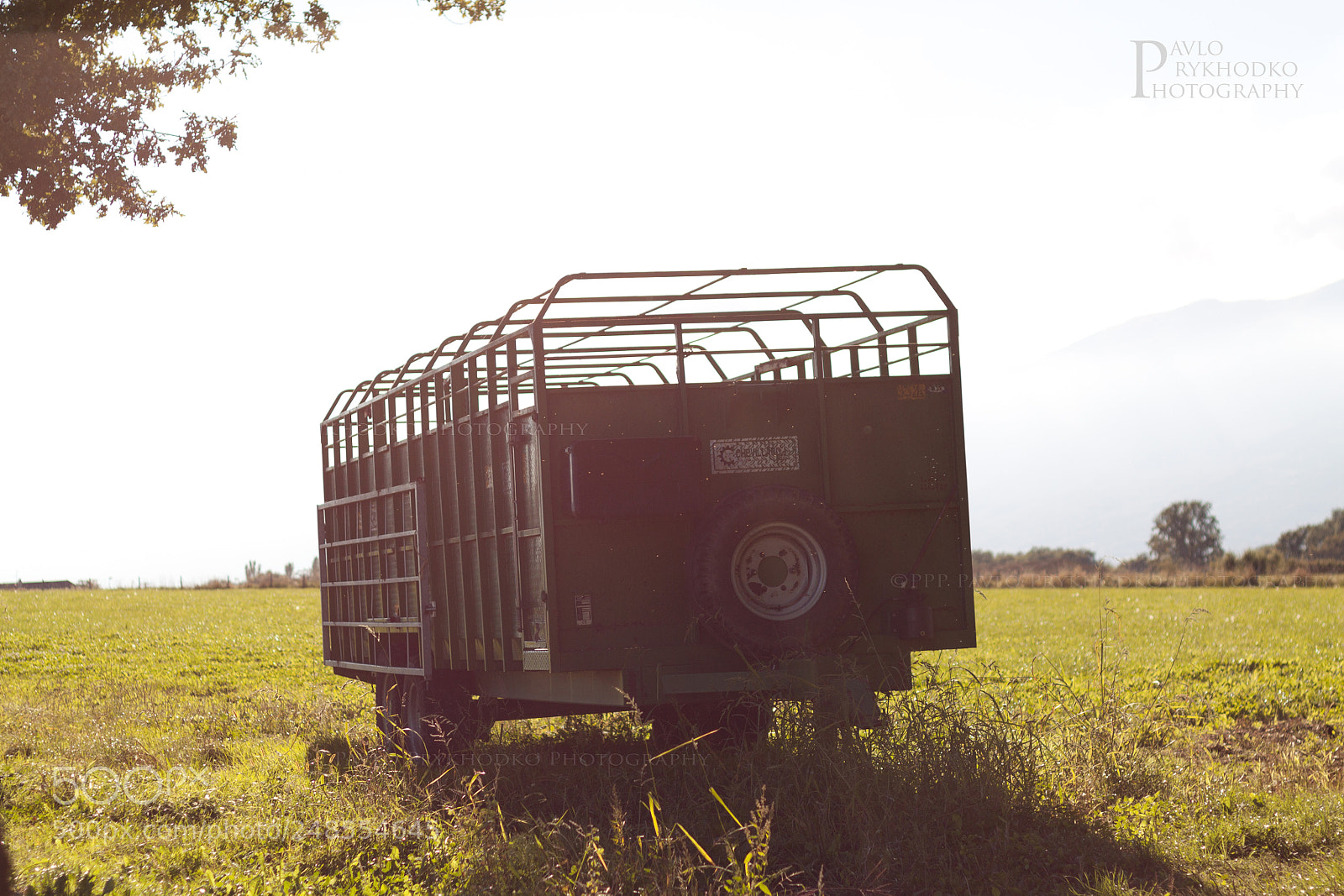 Canon EOS 50D sample photo. Parked photography