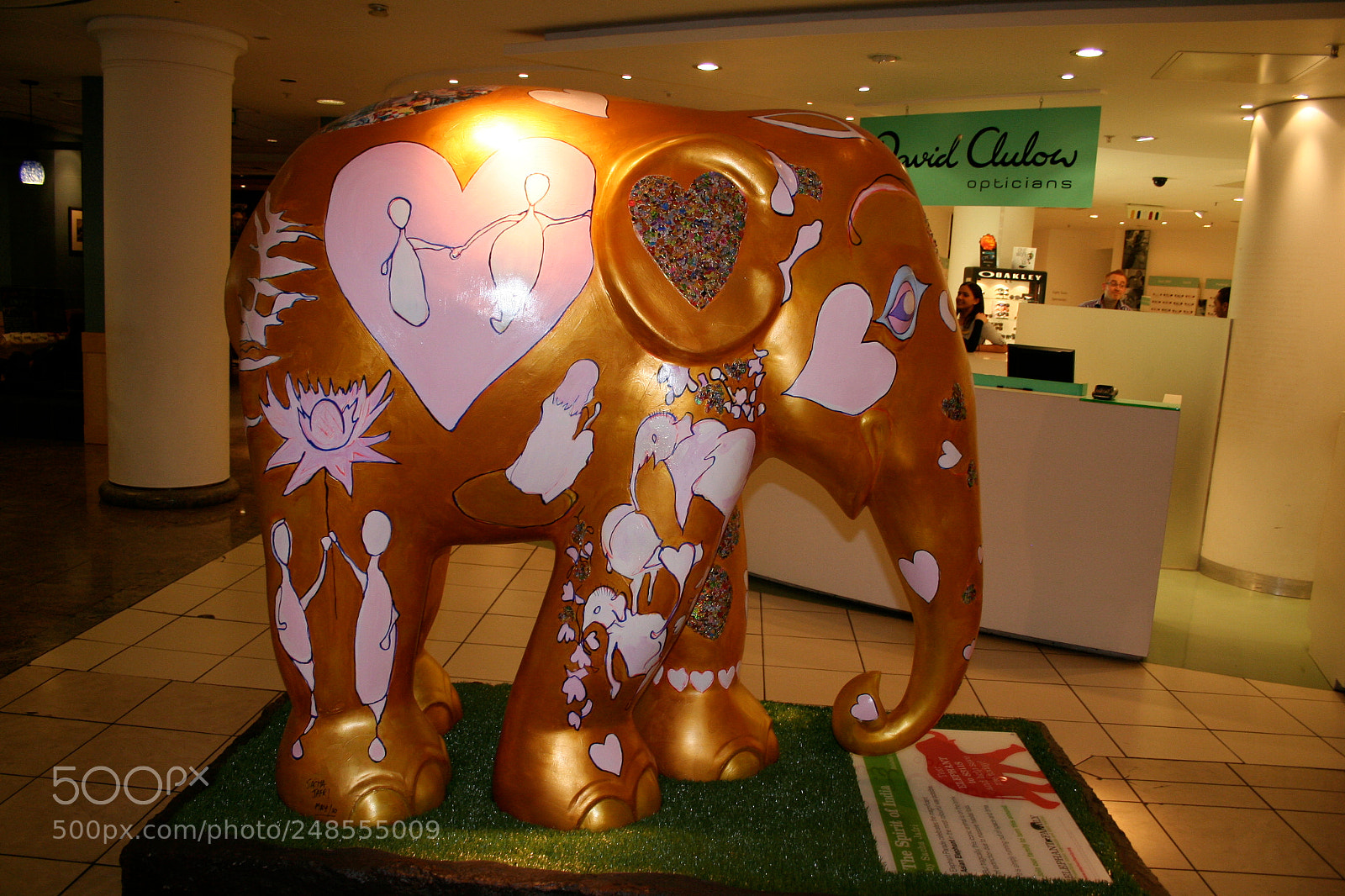 Canon EOS 350D (EOS Digital Rebel XT / EOS Kiss Digital N) sample photo. Elephant parade o photography